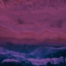 오션트리 이미지