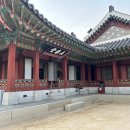 복내신발 | 당일치기 여행 수원 뚜벅이 여행기 : 수원화성 장안문과 화성행궁 (feat. 2023년 화성행궁 야간개장 소식)