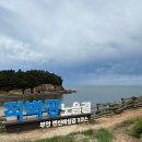 전북 충남 강아지동반여행 - 보리나라학원농장 소노벨변산 적벽강노을길 군산 예산시장 예당호출렁다리
