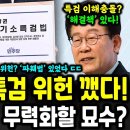 조작기소 특검 위헌 논란 위헌 파훼법 떴다 이미지