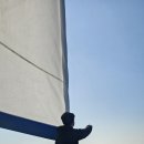 주정차단속-36 | 여수 액티비티 가을 오후 2시 웅천 카멜리아 요트 투어