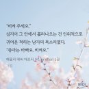[로맨스/웹소설 리뷰] 해필리 에버 에프터(Happily Ever After) - 가김 (스포 O)