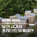 🌿 “착한 여행으로 지역과 사람 잇다”…신민정 이사장이 만드는 ‘공정여행’의 가치