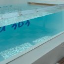세화303