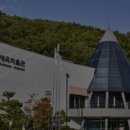 울산대곡박물관 이미지