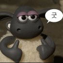 시청 주차동 화장실 네이버블로그