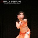 2016 HEBA Bellydance Festival competition(11.13) 이미지