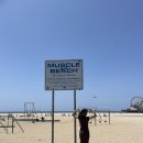 머슬빌런 이미지