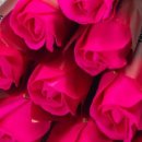 장미어린이집 이미지