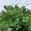 홍티마을회관 이미지