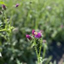 오금2리 이미지