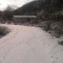 대둔산농장 이미지