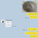 #71 전주 묵은지생갈비전골 맛집 생선구이 맛집 대성동 맛집 최사또생선구이