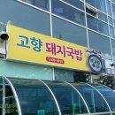 고향돼지국밥 | 김천구미역 근처 맛집 고향 돼지국밥 혼밥하기 좋은 곳 내돈내산 솔직후기