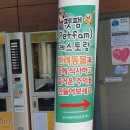 펫팸푸드 | [오수 휴게소] 애견동반휴게소에서 애견동반식당 펫팸레스토랑 이용 후기