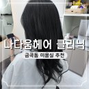 신미주아파트앞 (옥외1)36710 | 수원 금곡동 미용실 나다움헤어 가격 주차 후기