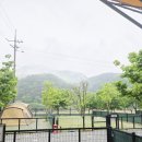 파트너닭발 - 7617 | 캠핑 술안주 추천 김부인식품 유뼈 불닭발 먹어본 후기