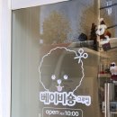 베이비숑 그루밍 이미지