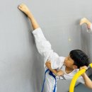 이루다 태권도 이미지