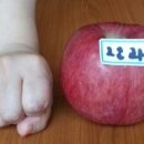 진보시장 이미지