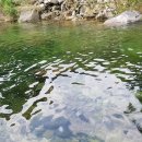 청솔민박펜션 이미지