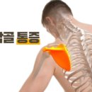 세종해밀한의원 네이버블로그