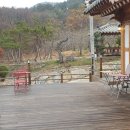 카페더힐
