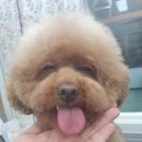 멍스바스 이미지