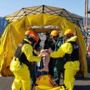 대원특수여객 이미지