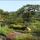 삼우농원 이미지