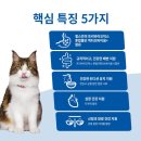 화율푸드 | 힐스 고양이사료 퍼펙트 다이제스천 1.6kg, 2주 급여 후 토 횟수 70% 감소 체험기