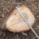 은평-016 이미지