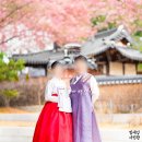 아리랑국제결혼 | 경원재바이워커힐 웨딩스냅 후기 | 빛으로 새긴 한옥의 계절, 송도 경원재 결혼식 한복스냅 추천 | 인천...