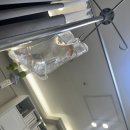 영덕파티마 마취통증의학과의원 | [임신39주] 조리원에서 쓰는 2025년 8월 시지파티마 파티마여성병원 제왕절개수술과 1인실 후기 1~2일차...