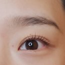 권선동 | 권선동 속눈썹펌 후기👍🏻