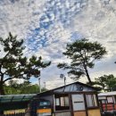 송라아쿠아 이미지