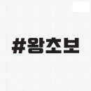 204 이미지