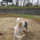 서생체육공원 운동시설 | 울산 서생체육공원