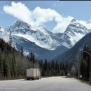 융한의원 이미지