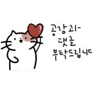 정금족발 네이버블로그