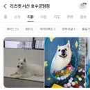리츠펫 서산호수공원점 이미지