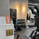 로하핏 스튜디오 이미지