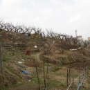 봉화산농장 이미지