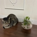 더바스켓 이미지