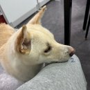 월영동115 이미지