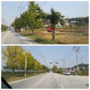 건국자동차매매상사 이미지