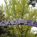 행복예절관 Daum카페