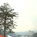 UR(원주시)-[운동들2길]-상-2 | 오크밸리 스키장 렌탈샵 스키강습 후기 TIP