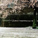 개화펜션 이미지