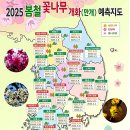 2025년 봄철 꽃나무 개화 예측 시기 이미지